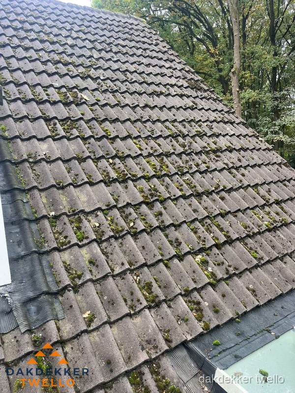 Verweerd pannendak met mosgroei dat renovatie nodig heeft in Twello Verweerd pannendak met mosgroei dat renovatie nodig heeft in Twello