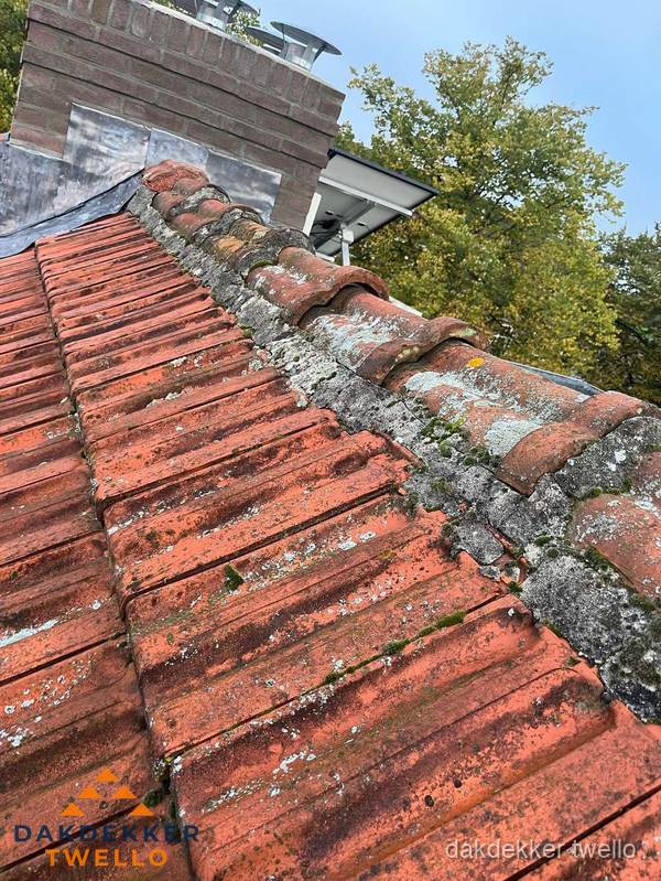 Verweerd hellend dak met mosgroei op nokvorst in Twello Verweerd hellend dak met mosgroei op nokvorst in Twello